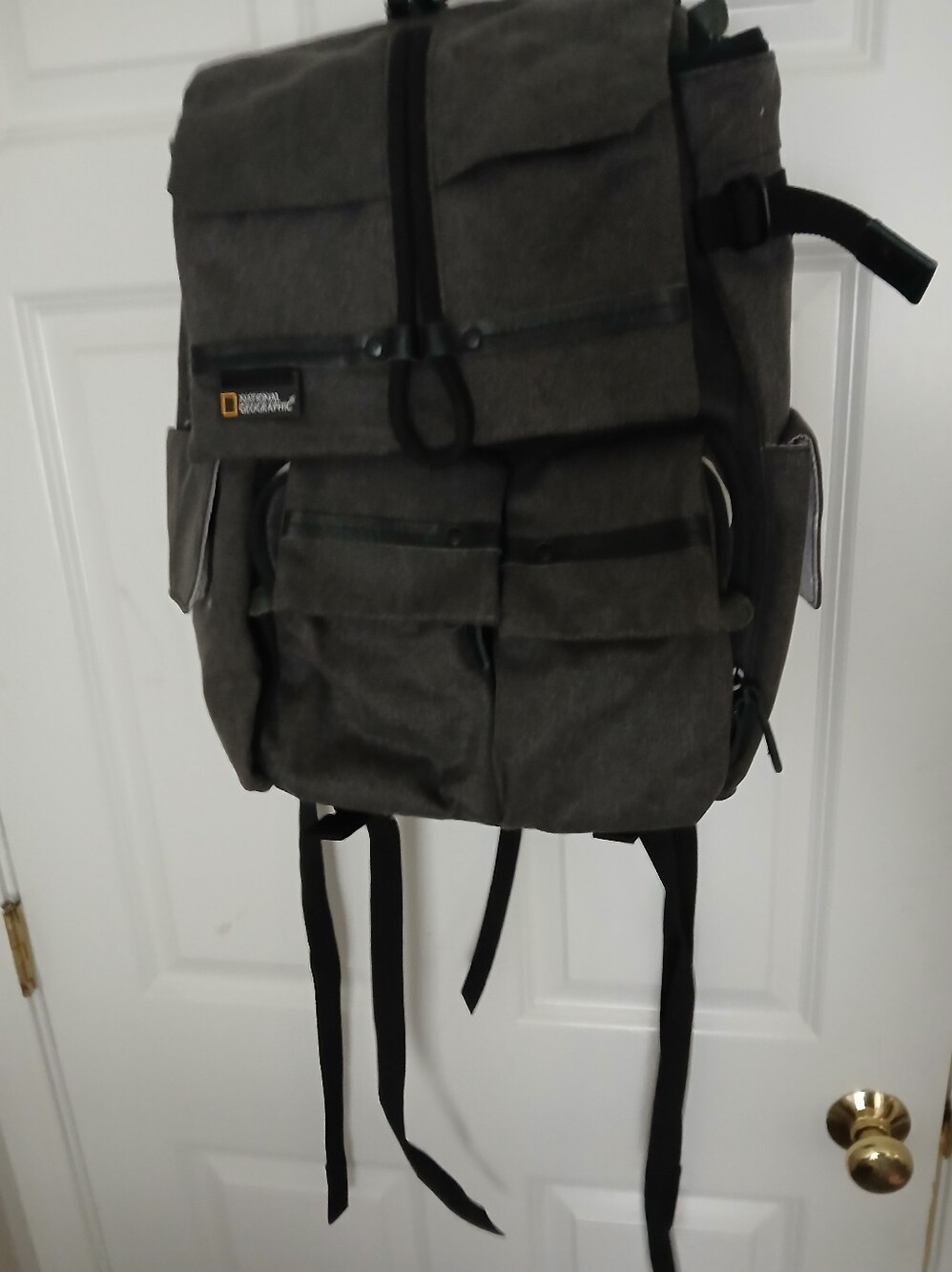 National Geographic Men's Gray Padded Backpack with Adjustable Straps